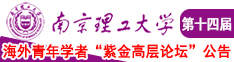 鸡巴操乳欧美喷水南京理工大学第十四届海外青年学者紫金论坛诚邀海内外英才！